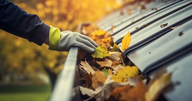 Fall Siding Preparation