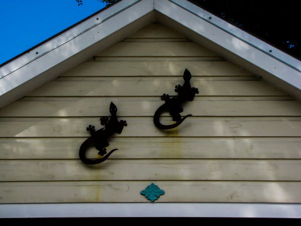 Cost of Shiplap Siding Installation in Arlington Heights